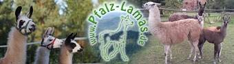 Pfalz-Lamas